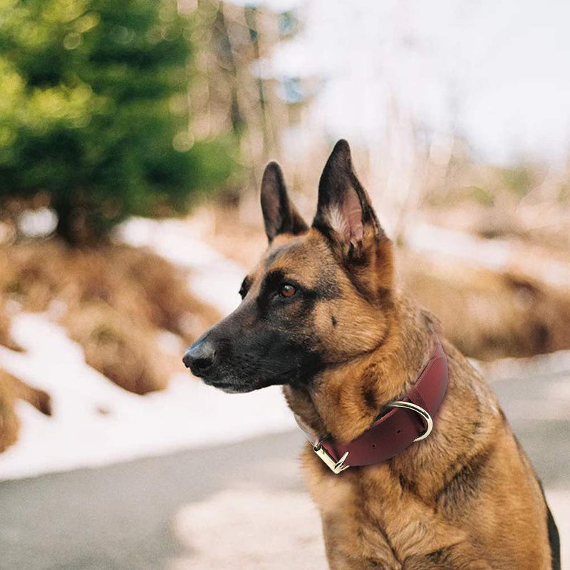 [Australia] - Beirui Genuine Leather Dog Collars - Heavy Duty Durable Military Grade Dog Training Collars - Walking for Medium Large Dogs,Rich Brown,M,L,XL M: Width 1", Neck 14-16.5" Rich Brown 