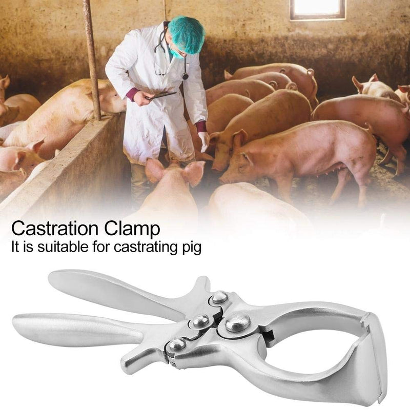 [Australia] - Castration Plier, Stainless Steel Castration Forceps Emasculate Castration Tools for Bulls Calves Cattle 