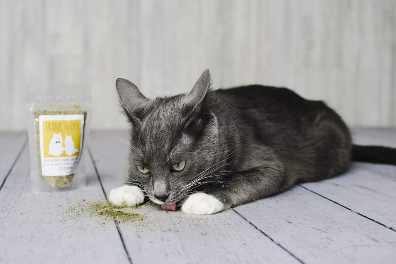 Frank & Oph Luxury Catnip Organic Premium High Potency Cat Treat - PawsPlanet Australia