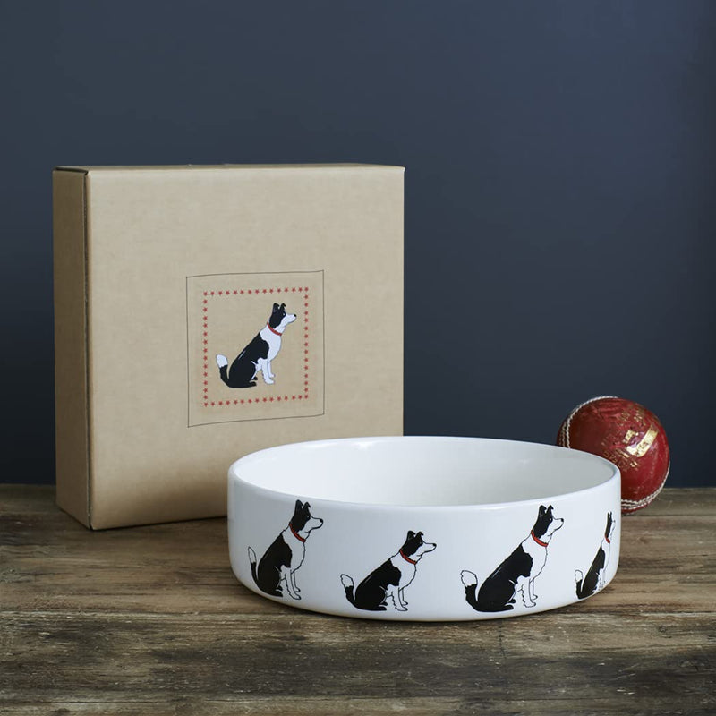 Sweet William Border Collie Dog Bowl - PawsPlanet Australia