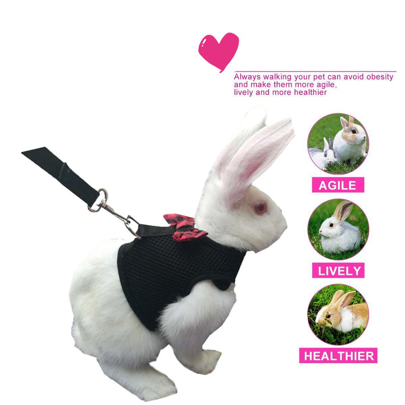 Bunny Kitten Harness No Pull Cat Leash Stylish Vest Harness for Small Animal Adjustable Soft Breathable Walking Harness Set (BLACK, L) BLACK - PawsPlanet Australia