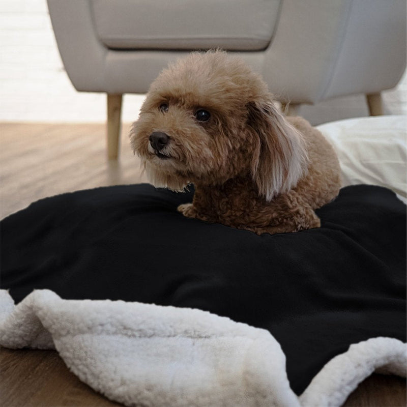 PetAmi Waterproof Dog Blanket for Bed, Couch, Sofa | Waterproof Dog Bed Cover for Large Dogs, Puppies | Sherpa Fleece Pet Blanket Furniture Protector | Reversible Microfiber 29 x 40 Inches Black - PawsPlanet Australia