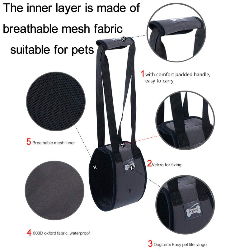 XYDZ Dog Lift Harness - Support Sling Helps Dogs With Weak Front or Rear Legs Stand Up, for Older or Sick Pets Getting In and Out of Stairs and Out of Cars - PawsPlanet Australia