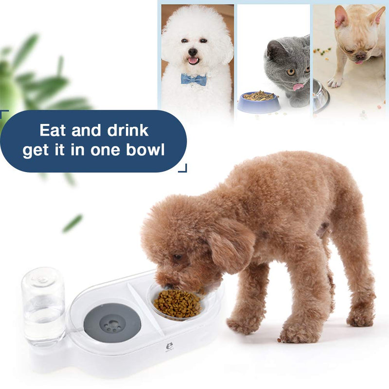 XSY&G Double Dog Cat Bowls Water and Food Bowl Set Automatic Water Dispenser Detachable Glass Feeder Bowl No-Spill Pet Food Feeder for Cat/Small Dog - PawsPlanet Australia