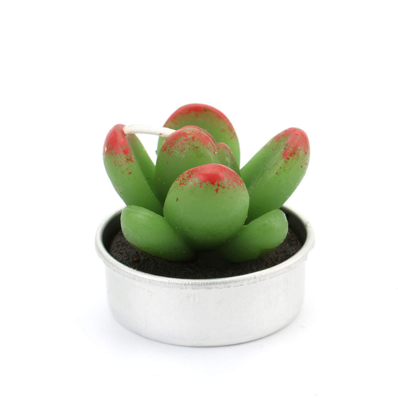 Lawei 18 Pack Cactus Tealight Candles - Handmade Delicate Succulent Mini Plants Candles - Perfect for Home Decor Candles Festival Wedding Props and House-Warming Party - PawsPlanet Australia