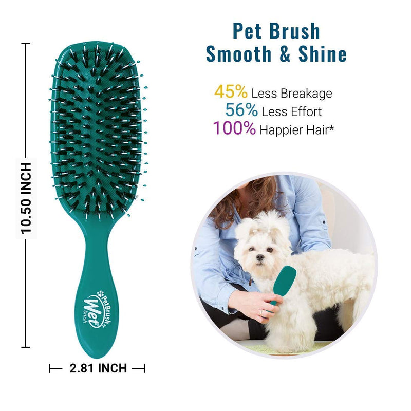 Wet Brush Pet Brush, Smooth and Shine Detangle Dog and Cat Grooming Brush Teal - PawsPlanet Australia