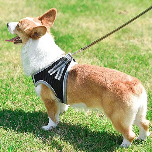 AIWOKE Dog Harnesses for Small Dogs with Leash, Mesh Padded Escape Proof Walking Adjustable Reflective Step-in Pet Medium Dog Puppy Cat Vest Harness and Leash Set (S (Chest: 13.5"), Black) S (Chest: 13.5") - PawsPlanet Australia