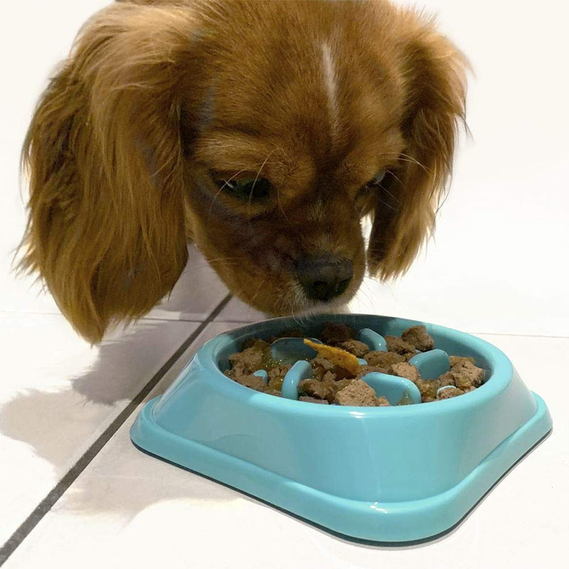iGadgitz Home U6969 - Small Dog Puppy Junior Slow Eating Dog Bowl Small Pet Slow Bowl Small Interactive Maze Feeder Kitten Puzzle Anti Choke Bowl - PawsPlanet Australia