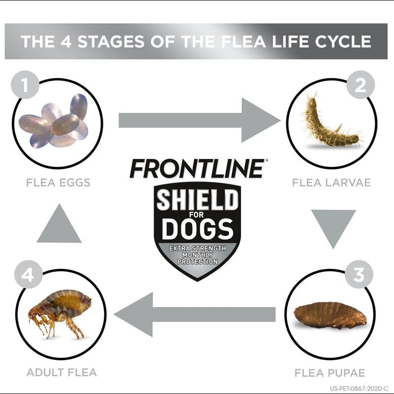 FRONTLINE Shield for Dogs Flea & Tick Treatment, 21-40 lbs 3 Count - PawsPlanet Australia