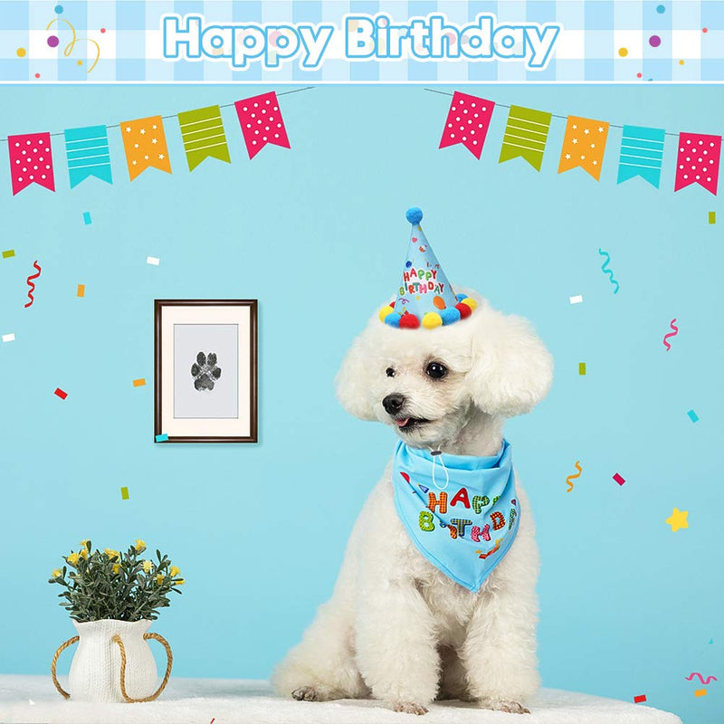 Dog Birthday Boy Bandana, Cute Hat, Ink Pad for Dog Paw Prints - Touch Ink Pad and Imprint Cards, Party Supplies - PawsPlanet Australia