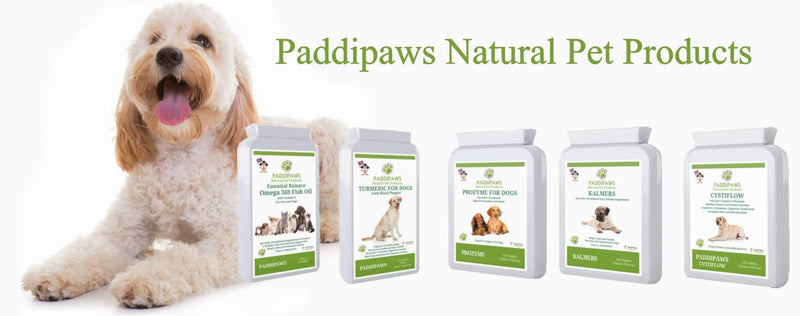 PADDIPAWS Phidozyme - Digestive Enzymes for Dogs with Specially Selected Herbs - Blended to provide a Natural Digestive Treatment for Dogs - 120 Tablets. - PawsPlanet Australia