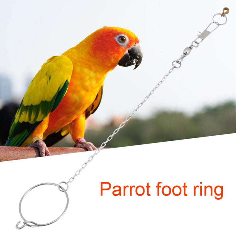 Hztyyier 25CM Parrot Foot Chain Bird Foot Stand Chain with Stainless Steel Ring for Pet Birds Stand(5.5mm) 5.5mm - PawsPlanet Australia