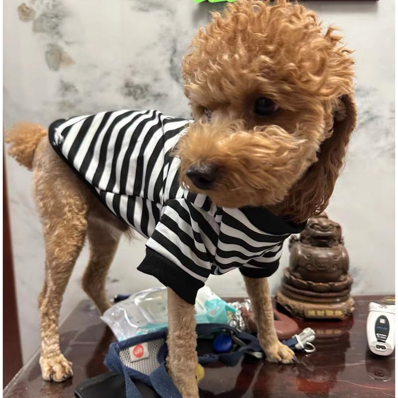 Anelekor Autumn Dog Hoodies with Leash Ring Warm Striped Puppy Shirt for Small Dog Girl Boy Cat Sweater Winter Pet Clothes Pomeranian Chihuahua Cold Weather Coat (Large, Black) Large - PawsPlanet Australia