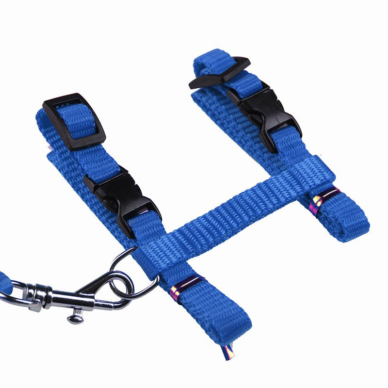 [Australia] - Gozier Pet Lead Leash Halter Harness Adjustable Safety Nylon Rope Strap Belt for Dog Cat Kitten BLUE 