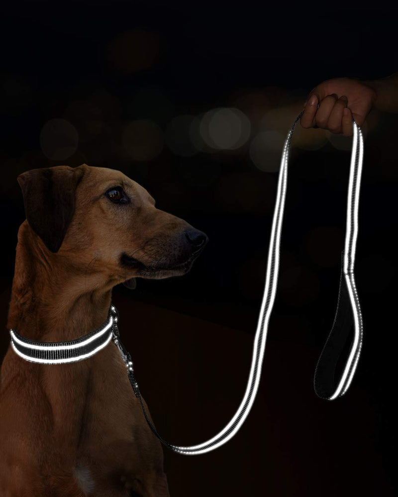 [Australia] - Joytale Reflective Dog Leash,6 FT/4 FT, Padded Handle Nylon Dogs Leashes for Walking,Training Lead for Large, Medium & Small Dogs 4 FT x 1" Wide Black 