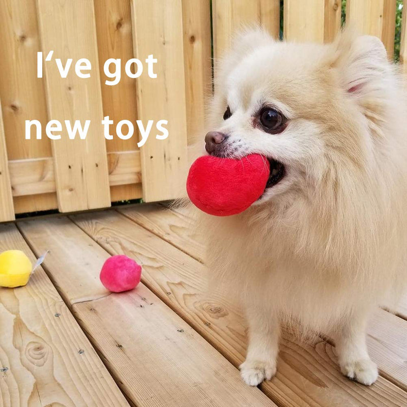 [Australia] - KOOLTAIL Dog Squeaky Toys Plush Balls 6 Pack - Small Dog Toys Cute Soft Interactive Chew Toy for Puppy Small Medium Dogs & Cats Combination I 