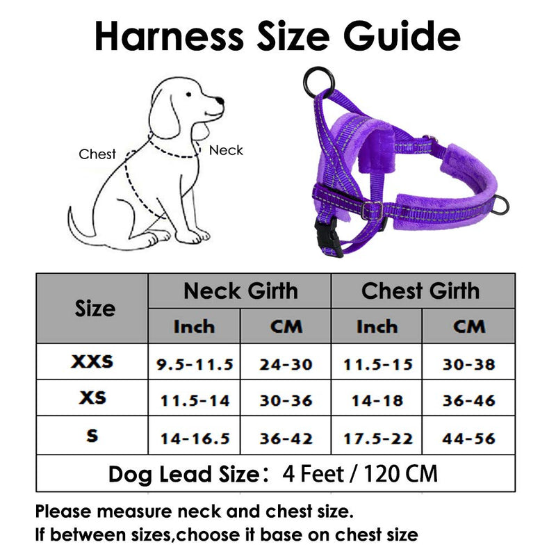 SlowTon Dog Harness and Dog Leash Set, Dog Leash Leash Quick Fit Harness Soft Padded Pet Vest Harness with Dog Leash Adjustable Reflective Car Harness and Bungee S Purple - PawsPlanet Australia