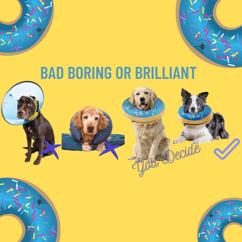 Inflatable Dog Collar | Great Alternative to a Dog Cone or a Dog Cone Collar | Our Super Comfy Dog Doughnuts Make Excellent Recovery Collars For Dogs | Suitable for Small Dogs (Blue) Blue - PawsPlanet Australia