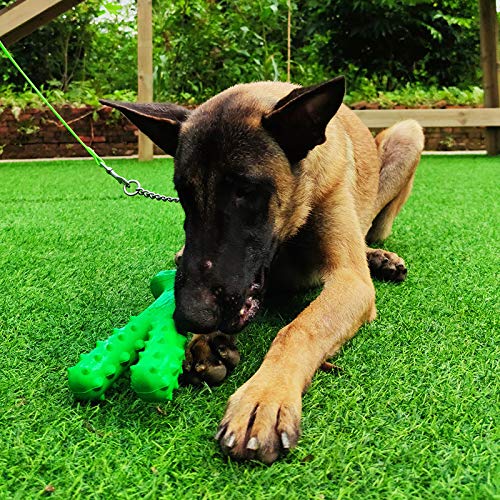 Aggressive chew Toys, Environmentally Friendly Materials, Very Durable Dog Toys Aggressive Chews,chew Toys for Puppies Teething Small Dogs,Pet Life Good Companion,New 2020 - PawsPlanet Australia