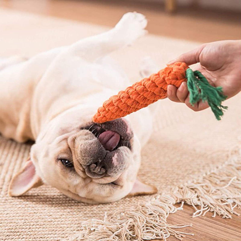 Dog Rope Toy Durable Dog Chew Toys Natural Cotton & Non-Toxic Tough Pet Rope Toys for Small Medium Large Dogs Set of 11 (Style01) Style01 - PawsPlanet Australia