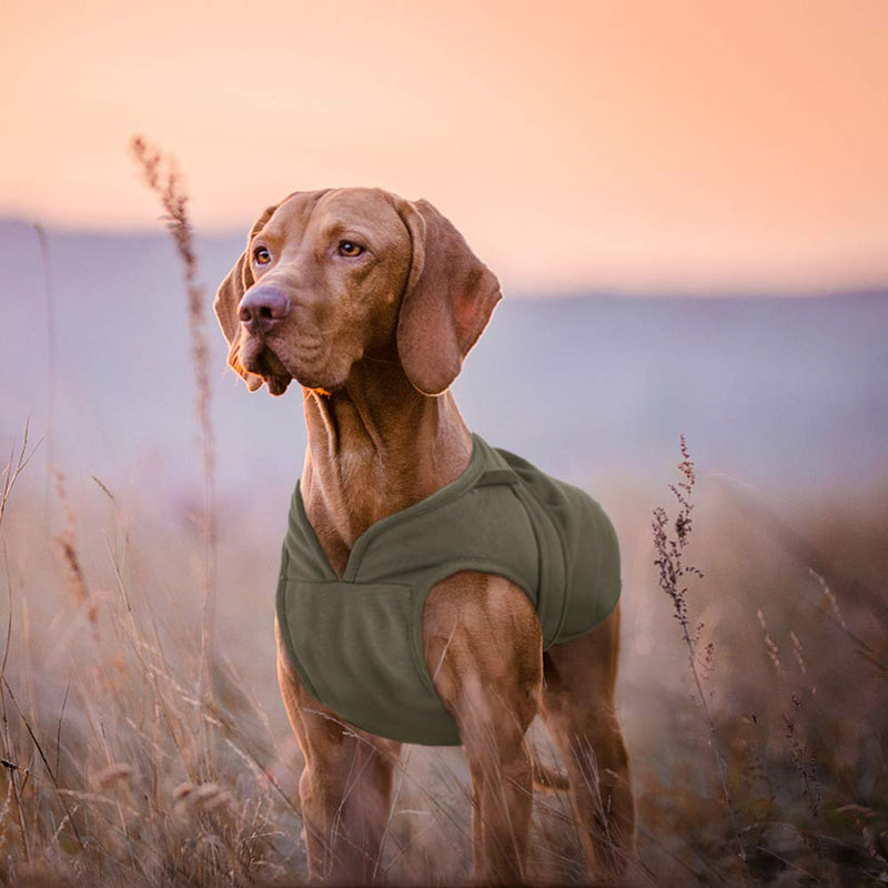 [Australia] - Kuoser Canvas Cold Weather Dog Coat for Winter, Reflective Dog Warm Fleece Jacket Water Repellent Windproof Dog Vest for Small Medium Large Dogs with Zipper Leash Hole XS-3XL XS(Chest:9.8-12.6",Back:8.7") Army Green 