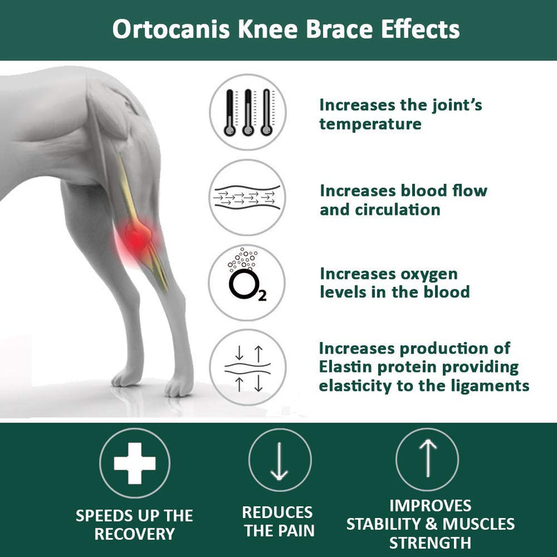 Ortocanis Original Knee Brace for Dogs with ACL, Knee Cap Dislocation, Arthritis - Keeps The Joint Warm - Reduces Pain and Inflammation - 9 Sizes for Left or Right Leg (XXXS - Right) XXXS / Right - PawsPlanet Australia