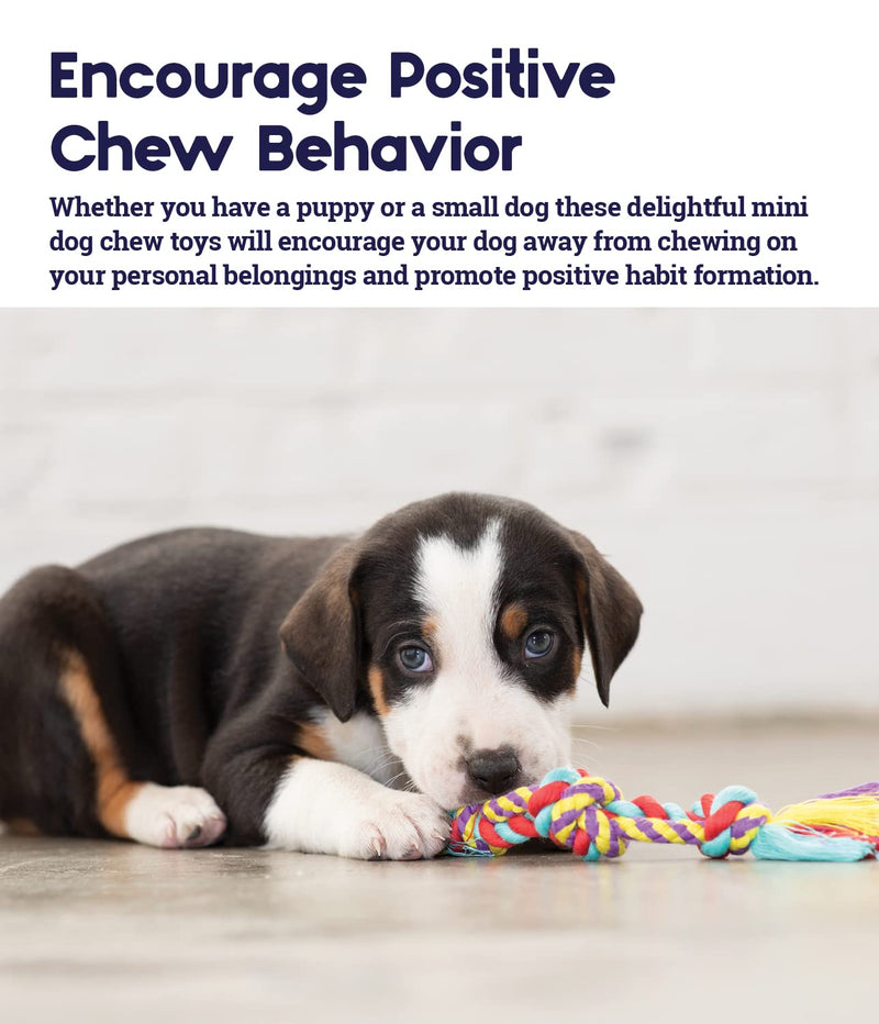Petstages Dental and Teething Dog Chew Toys Dental Chew 3 Pk - PawsPlanet Australia