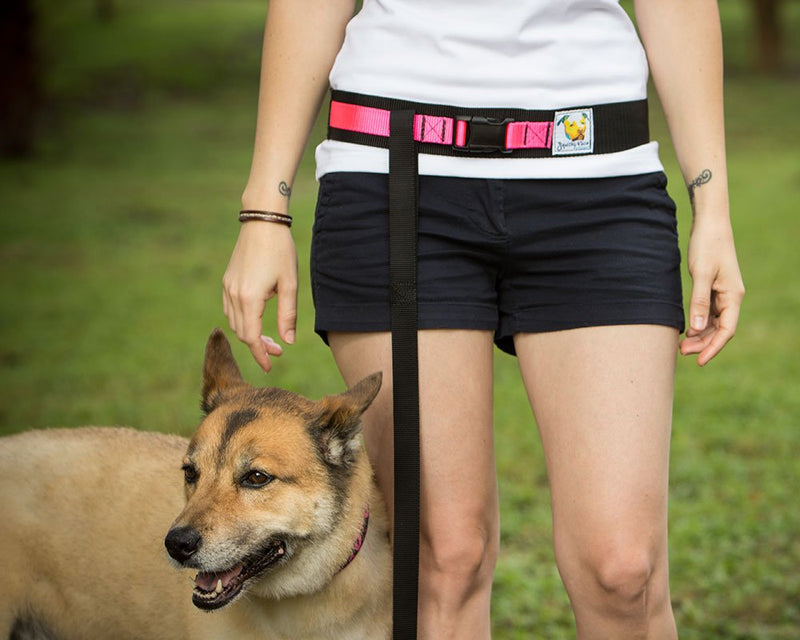 [Australia] - Squishy Face Studio Hands Free Dog Leash Belt Medium-Large Neon Orange 