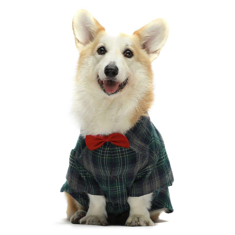 [Australia] - Fitwarm Cotton Plaid Dog Shirts for Pet Clothes Polo Apparel Cat T-Shirts Green + Wedding Bowtie XL 