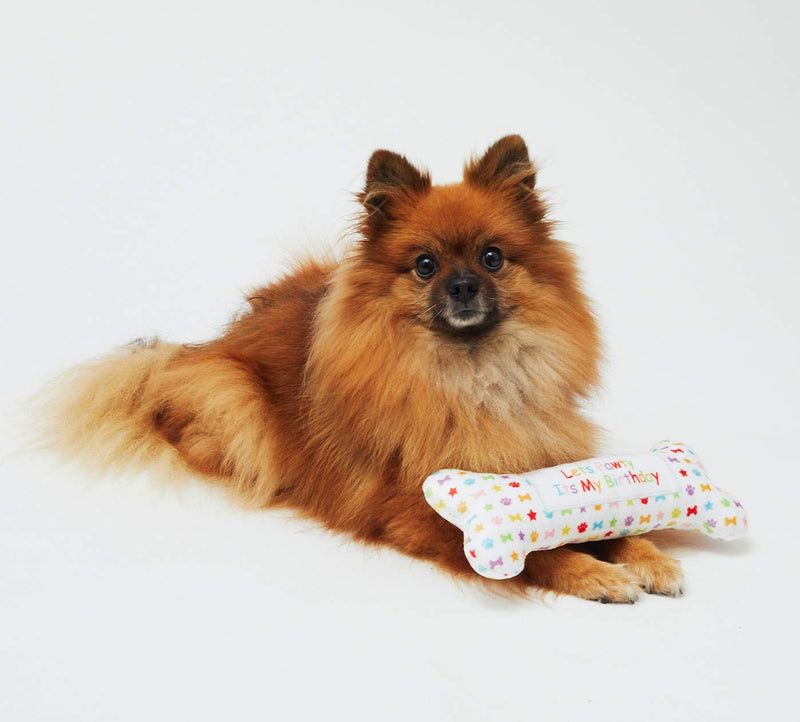 Pet London Birthday Bone Dog Toy - Celebrate Your Dog's Birthday - Plush Rainbow Pattern Dog Bone - PawsPlanet Australia