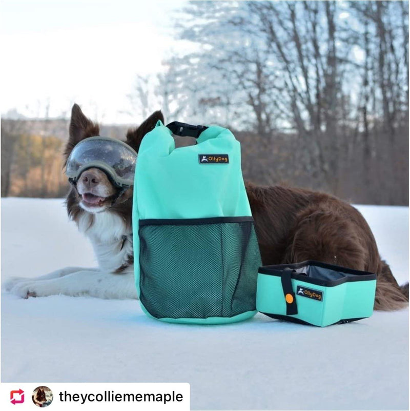 OllyDog Kibble Carrier with Crumple Travel Dog Bowl, Dog Food Travel Container, Dog Accessories, Convenient for Travel, Hiking, Camping Amber Green - PawsPlanet Australia
