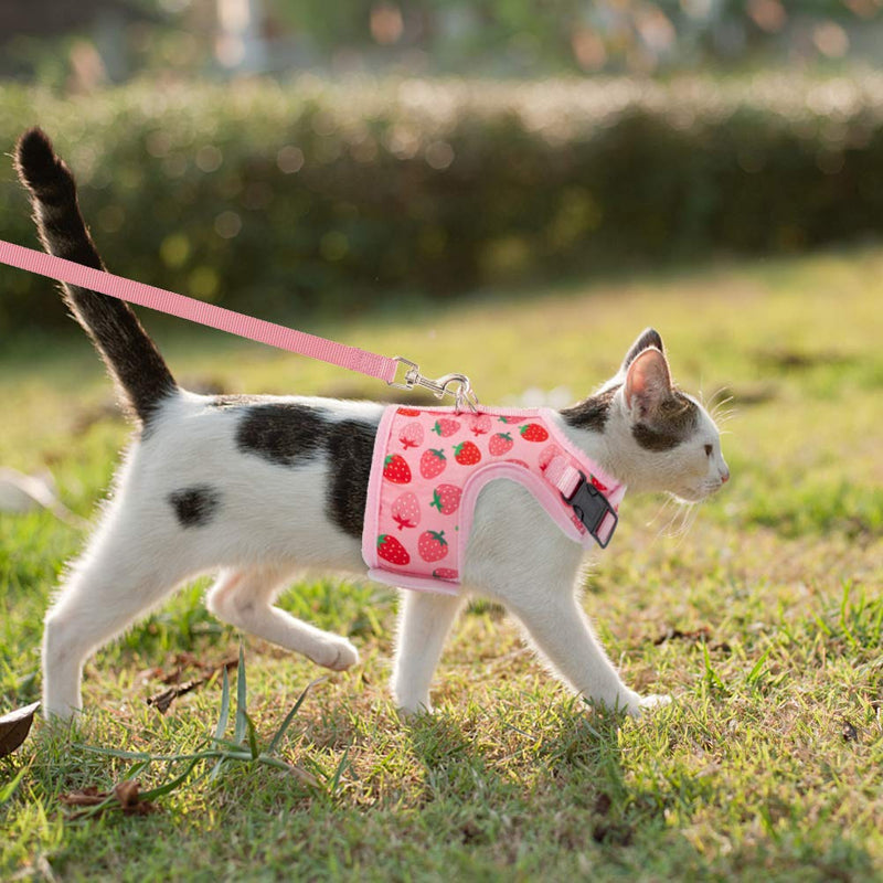 BINGPET Cat Harness and Leash Set - Escape Proof Cat Walking Harness with Cute Pink Strawberry Pattern, Soft Mesh Vest Harness, and Adjustable Pet Harness for Kitties Puppies Small Pets - PawsPlanet Australia