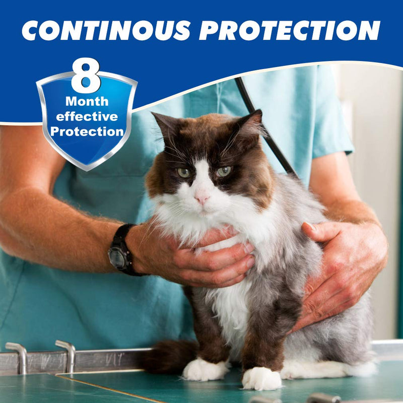 KOOLTAIL Cat Flea and Tick Collar - 8 Months Protection Anti Flea Collars Effective Treatment Adjustable Length for Kittens Cats - PawsPlanet Australia