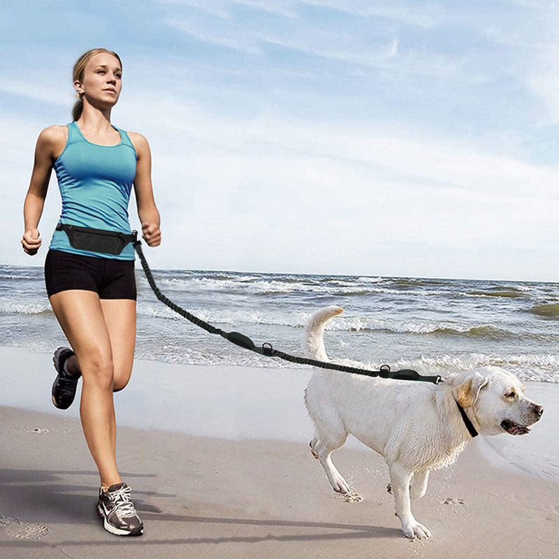 Greyoe jogging leash for dogs, jogging leash for dogs with waist belt, dog leash, hands-free running, hiking, webbing anti-crush 119-172cm, hip bag leash, sports running suit (black) black - PawsPlanet Australia