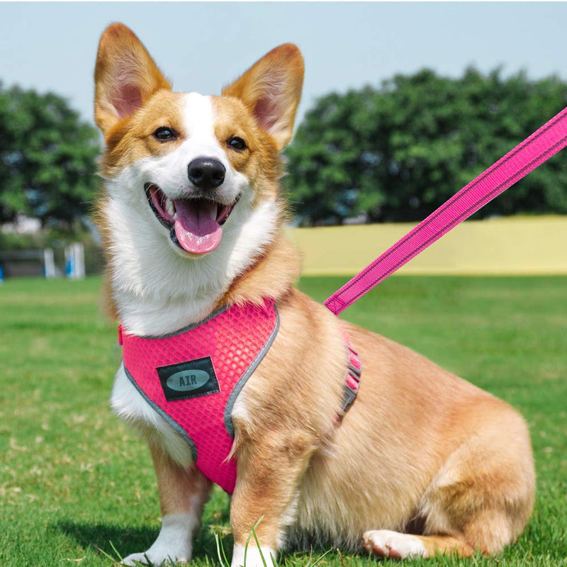 [Australia] - AIR Dog Harness Leash Set, Puppy Leash Harness, No-Choke Dog Harness, Mesh Dog Harness, Comfortable Dog Harness, Plus 4 ft Reflective Dog Leash with Padded Handle S(Neck 9-15 in, Chest 13-20 in) Rose 