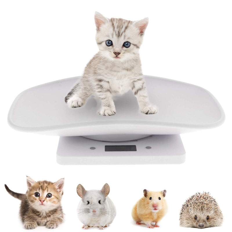 Petyoung Multi-Function Digital Pet Scale to Measure Dog and Cat Weight Accurately Up to 10KG,LCD Display Pet Dog Weighing Scale with Comfortable Curving Platform - PawsPlanet Australia