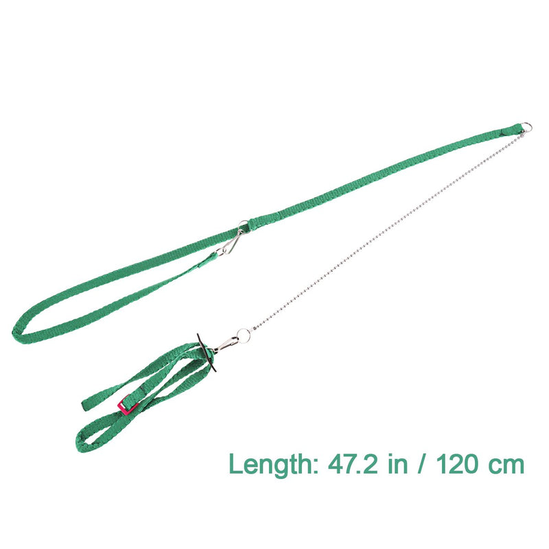 [Australia] - POPETPOP 1.2M Lizard Leashes, Lizard Reptile Harness, Adjustable Reptile Lead(Green) 
