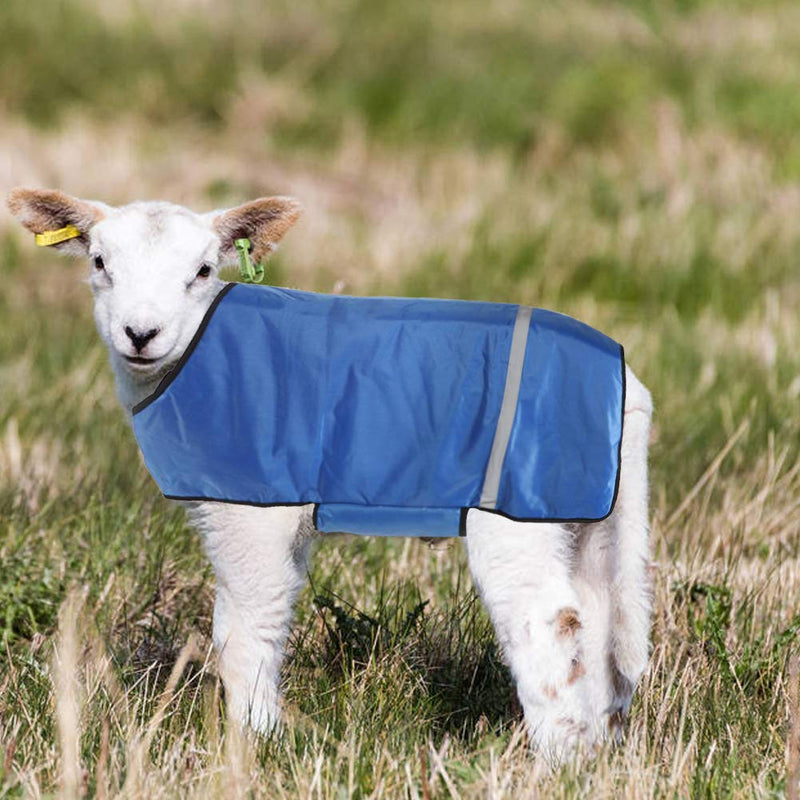 [Australia] - Hffheer Goat Blanket, Oxford Fabric Livestock Supplies for Goat Cover Windproof Calf Jacket Livestock Farm Animals Supplies with Reflective Strips 