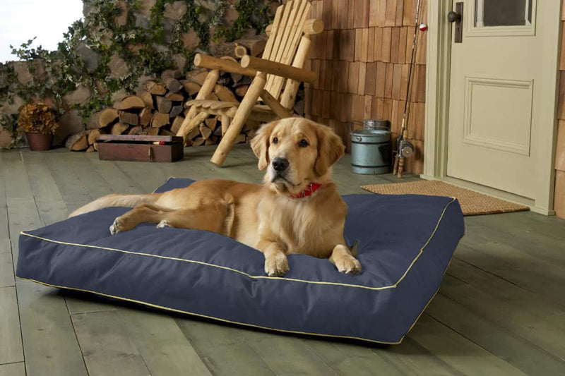 Dalema Dog Bed Cover.Waterproof Fillable 600D Oxford Dog Bed Replacement Cover.Washable and Removable Orthopedi,Cooling Gel and Memory Foam Pet Bed Protector Cover.Cover Only. Medium Grey - PawsPlanet Australia