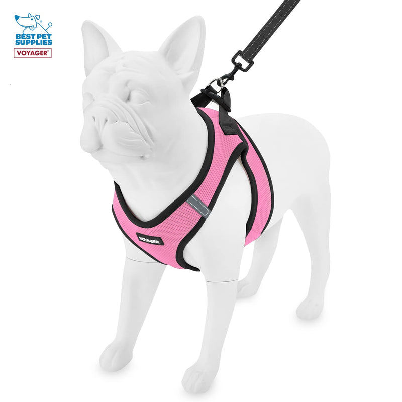 Voyager Step-In Air Dog Harness for Small and Medium Dogs – All Weather Mesh Step in Vest Harness Leash Waste Bag Dispenser by Best Pet Supplies XXXS (Chest: 10 - 11.5" * Fit Cats) 1Pink Base (Leash Bundle) - PawsPlanet Australia