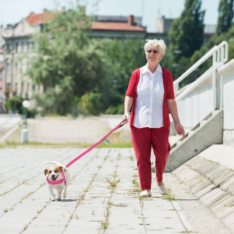 [Australia] - Lukovee Walking Dog Harness and Leash, Heavy Duty Adjustable Puppy Harness Soft Padded Reflective Vest Harness Anti-Twist 4FT Pet Lead Quick Fit Lightweight for Small Dog Cat X-Small Pink 