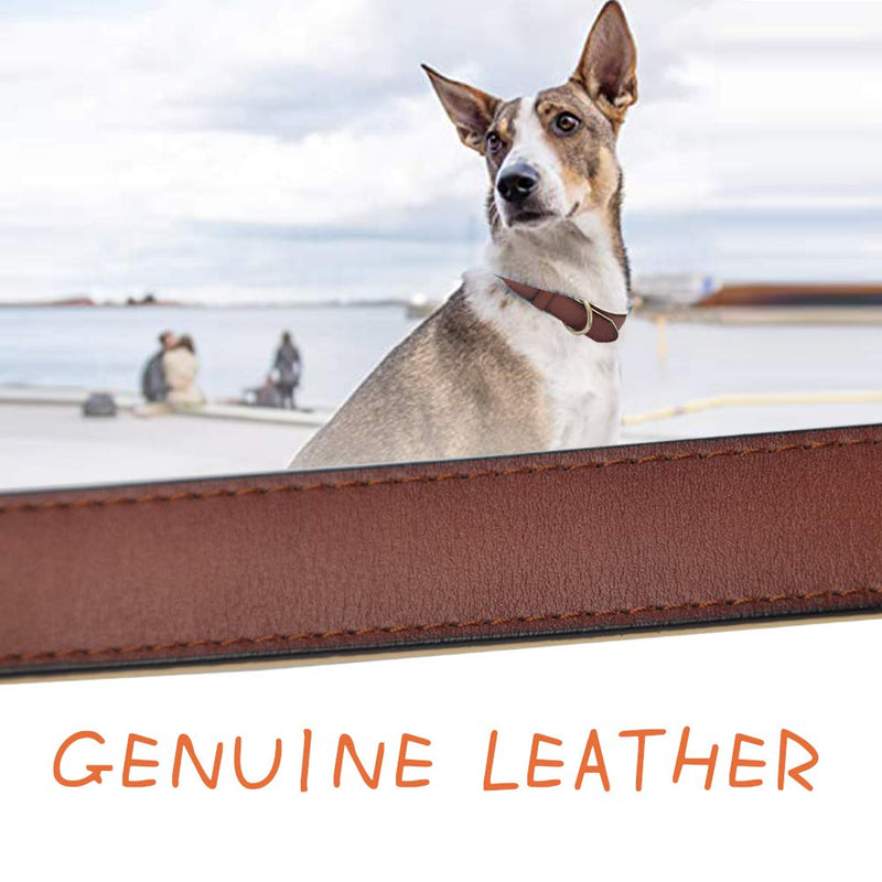 Adjustable Genuine Soft Leather Dog Collar of Padded Best for Small Medium Large Breed Dogs(S, Brown) S - PawsPlanet Australia