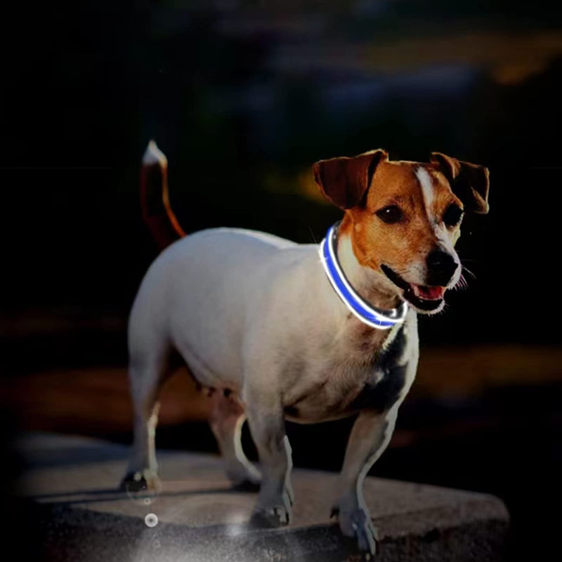 LED dog collar dogs, dog LED light collar, light collar for dogs, collar for dogs adjustable, pet safety collar with 3 lighting modes, for small medium large dogs green S - PawsPlanet Australia