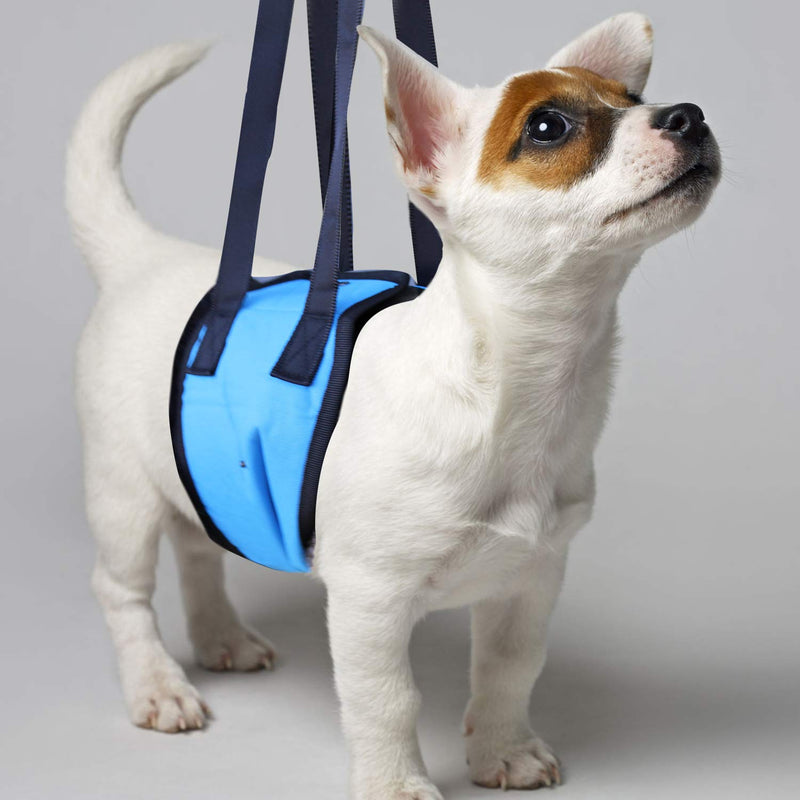 [Australia] - Dog Lift Support Harness Canine Aid - Lifting Older K9 w/ Handle for Injuries, Orthopedic Arthritis or Weak hind legs & Joints. Small / Medium/ Large Breed Assist Sling for Mobility & Rehabilitation 