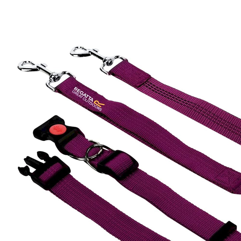 Regatta Dog Leash Reflective Shock Absorbing Heavy Duty Jogging Hands Free Black One Size - PawsPlanet Australia