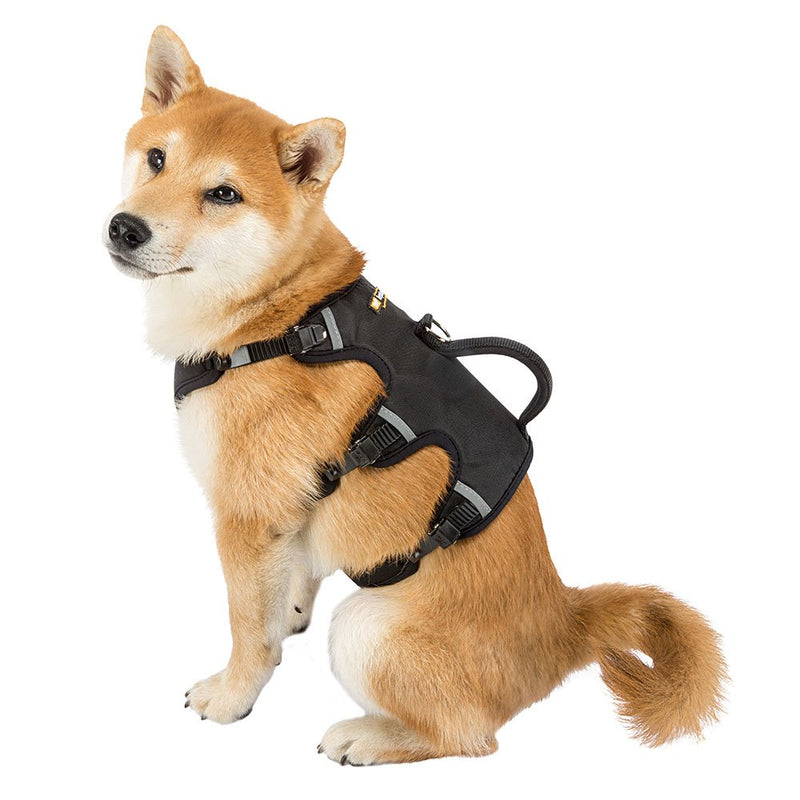 Ferplast Ergonomic Chest Harness for Medium-Large Dogs ERGOTREKKING P MEDIUM, Six Fastening Points with Micro Regulation, Soft Padding, Reflective, Ideal For a Day Out Trekking, Black - PawsPlanet Australia