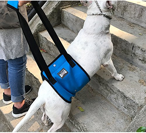 Morezi Dog Lift Harness - Support Sling Helps Dogs With Weak Front or Rear Legs Stand Up, Walk, Get Into Cars, Climb Stairs. Best Alternative to Dog Wheelchair - Blue - S - PawsPlanet Australia