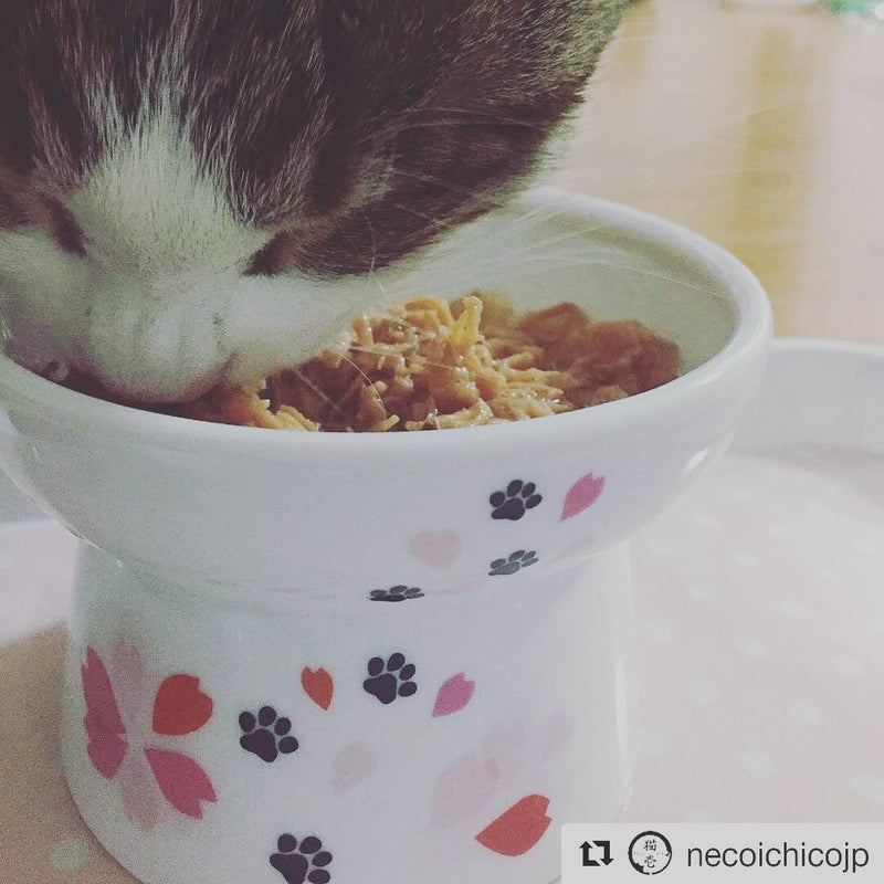 [Australia] - Necoichi Raised Cat Food Bowl, Stress Free, Backflow Prevention, Dishwasher and Microwave Safe, Made to EC & ECC European Standard Sakura Limited Edition 