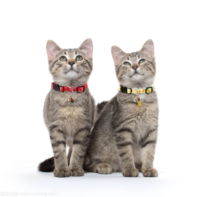 SuperBuddy Cat Collars Breakaway with Bell - 4 Pack Cat Safety Collars for Boys & Girls - Safety Buckle Kitten Collar for Pet Supplies,Stuff,Accessories - PawsPlanet Australia