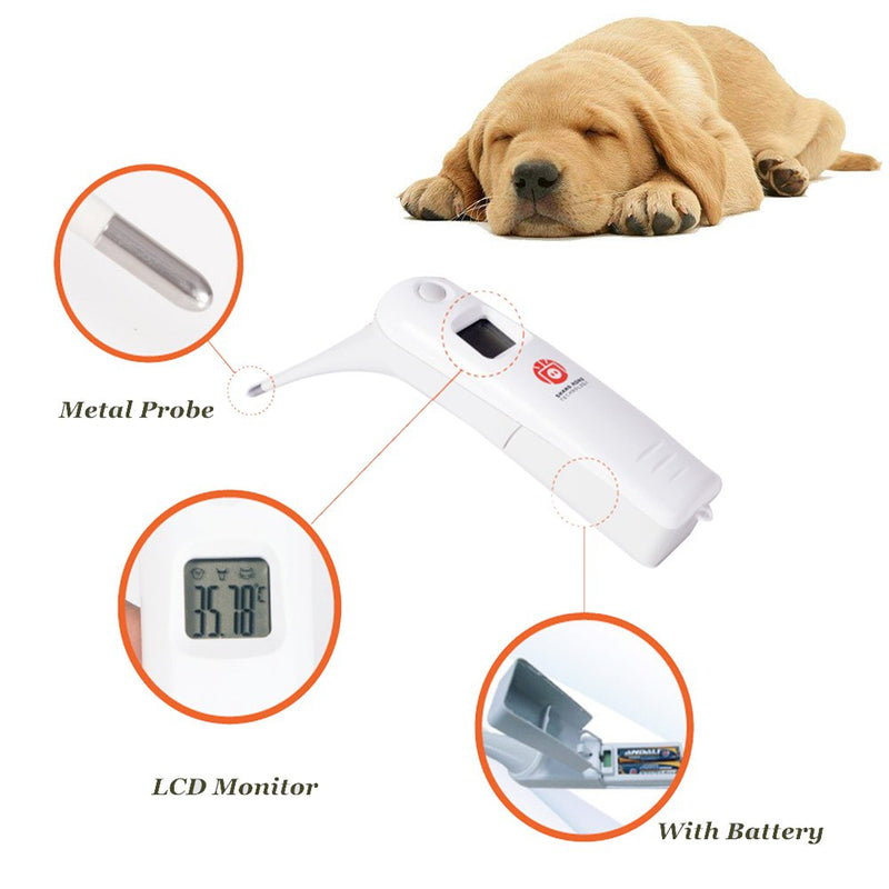 Animal Electronic Ehermometer Pet Thermometer Digital Thermometer is a Fast Rectal Thermometer for Dogs,Horse, Cats, Pigs,Sheep - PawsPlanet Australia